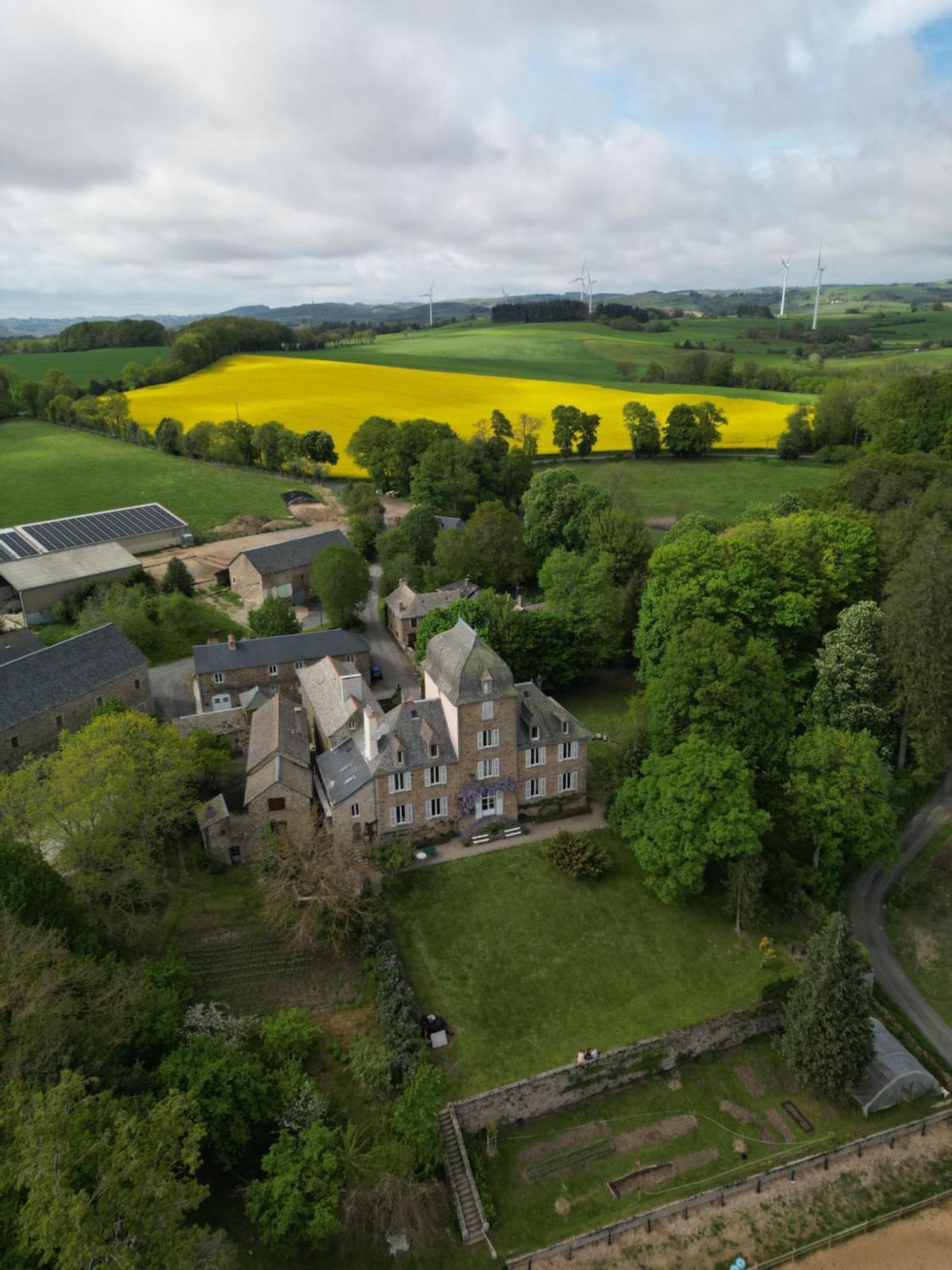 Le Domaine De Linars - L'Aile Du Chateau Villa Le Truel Bagian luar foto